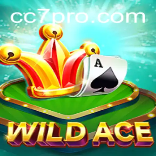 Exploring WildAce The Thrilling Card Game